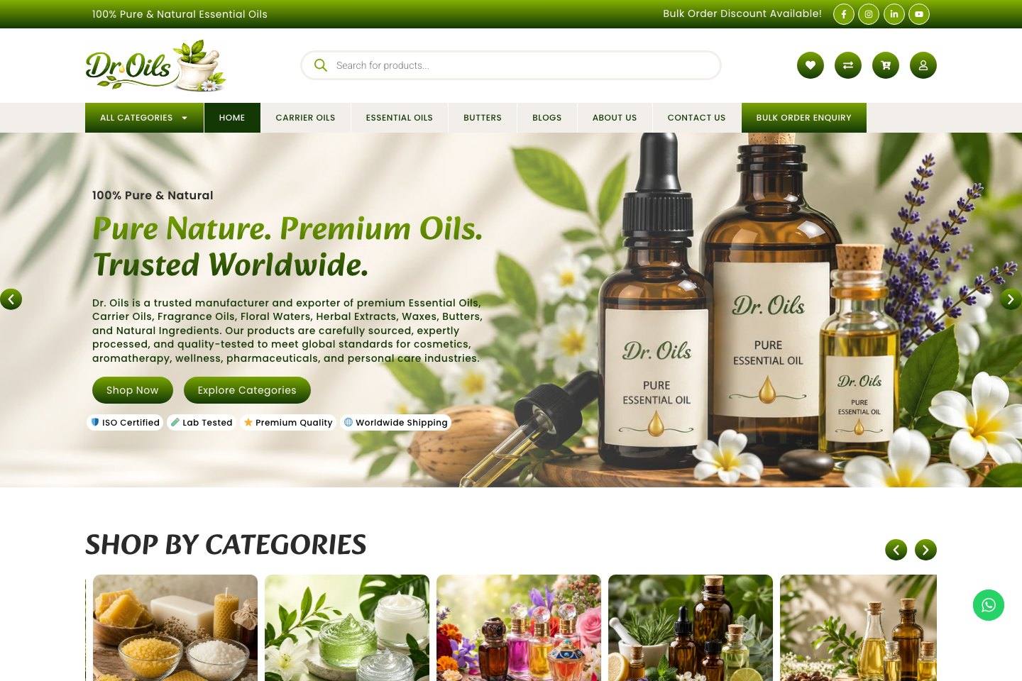Droils — Business website website, live
